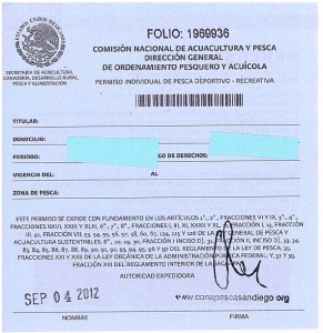 mexican-fishing-license-291x300